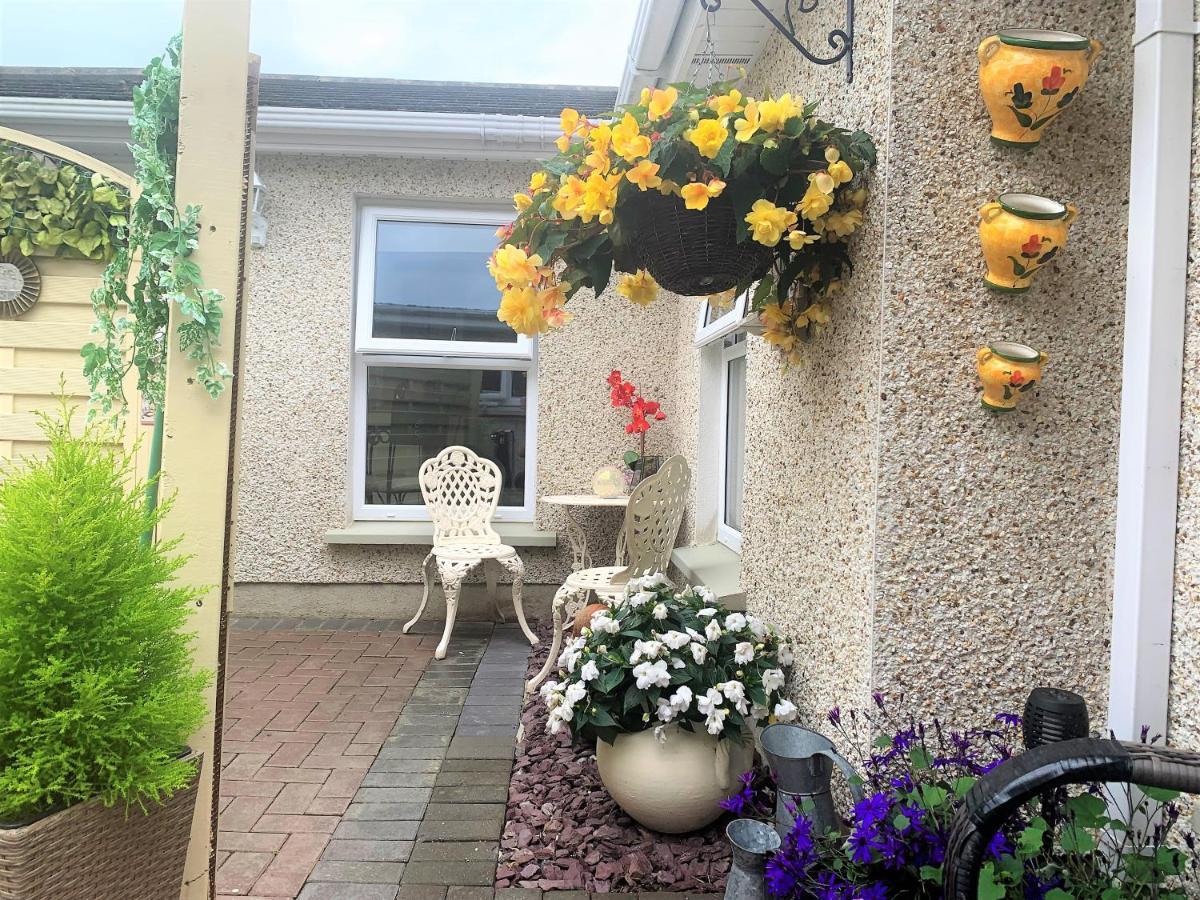 Naas 2 Bedroom Back Garden Escape المظهر الخارجي الصورة